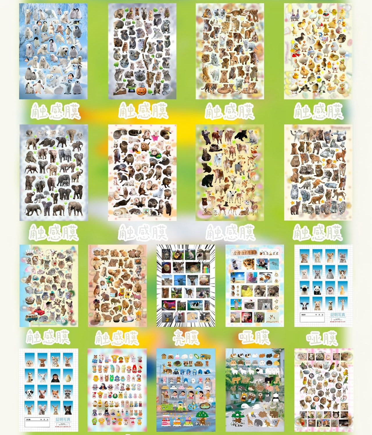 Sticker Book 30 pages