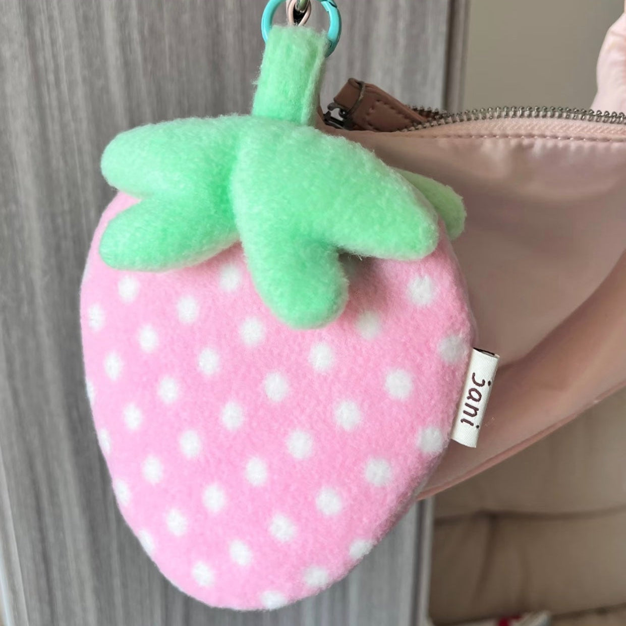 Jani Strawberry Pouch/ Card Holder