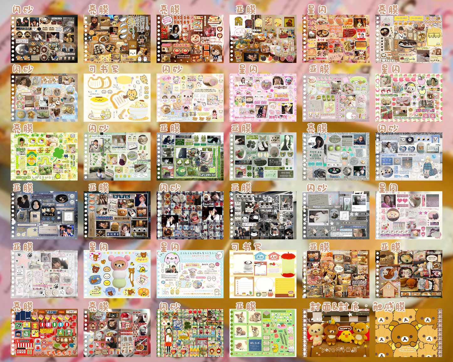 Sticker Book 36 pages